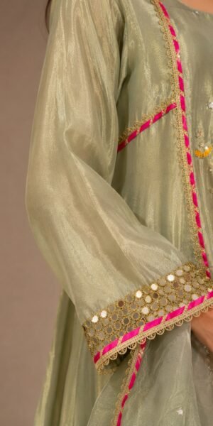 Sage Royale Harmony Set with handcrafted embroidered elephant motifs, straight-leg pants, mirror-work sleeves, and an organza dupatta with contrasting pink border.